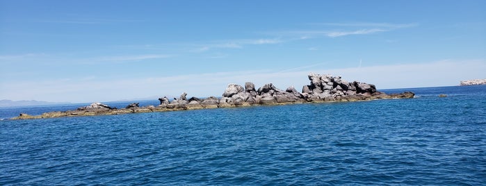 Isla Partida is one of Tempat yang Disukai Simon.
