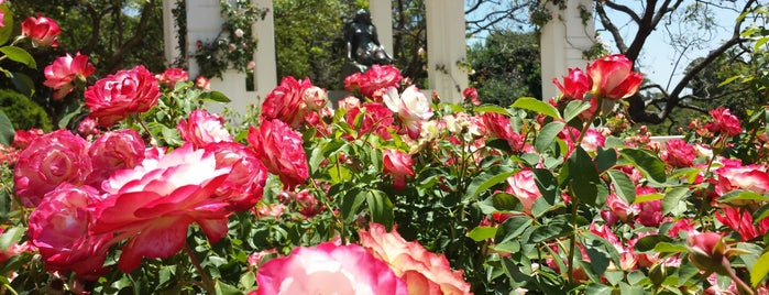 Rose Garden is one of Best CITYTOUR in Buenos Aires.