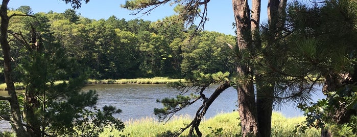 Mashpee River Woodlands is one of New England hikes and walks.