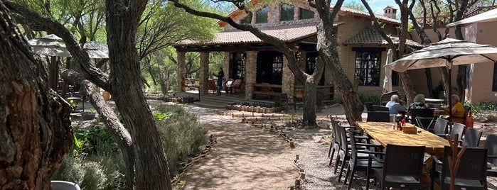 Mama Mia Campestre is one of San Miguel de Allende.