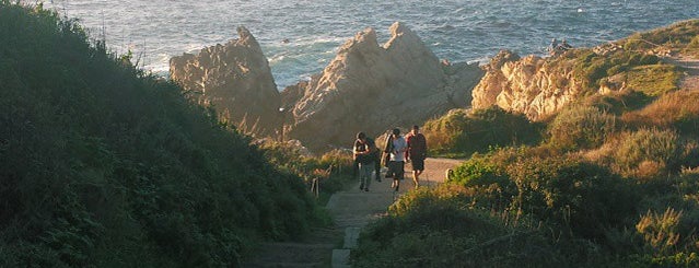 Point Lobos State Reserve is one of West Coast Adventure.