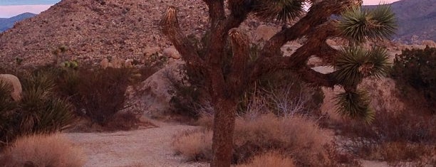 Joshua Tree National Park is one of LA.