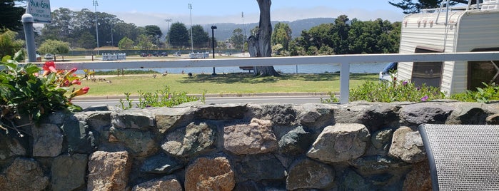 Bay Cafe is one of The 15 Best Places for Clam Chowder in Monterey.