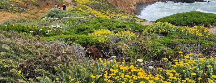 Coastal Trail is one of Highway 1.
