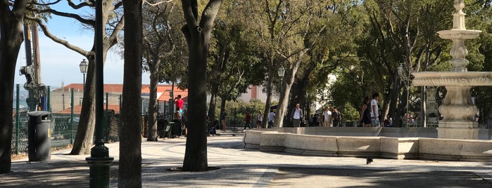 Miradouro de São Pedro de Alcântara is one of lisboa.