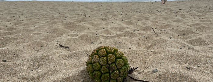 ビラビーチ is one of Surfing /Japan.