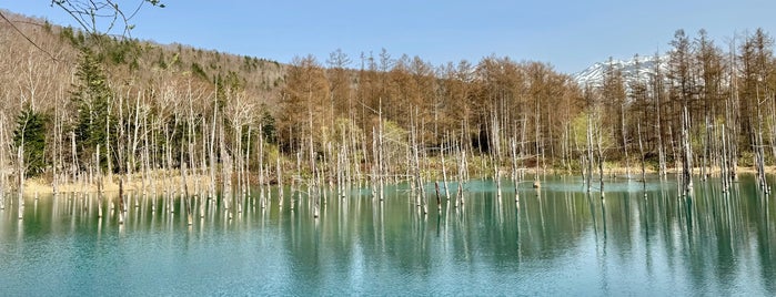 Shirogane Blue Pond is one of Hokkaido for driving.