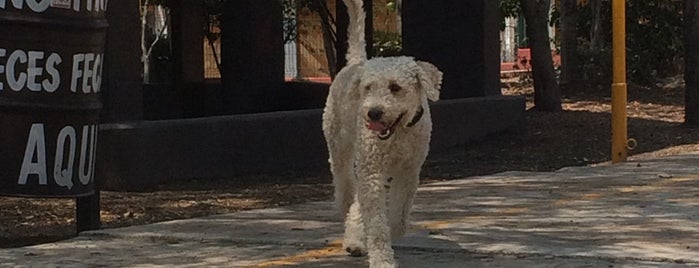 Parque Boulevares is one of Lugares favoritos de Daniela.