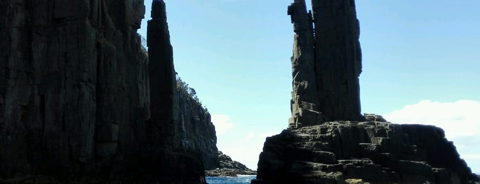 Bruny Island Cruises is one of Travel.