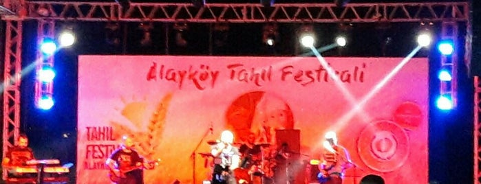 Alaykoy Tahıl Festivali is one of Lieux qui ont plu à Sadık.