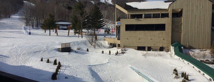 Chateau Mont-Sainte-Anne is one of Lieux qui ont plu à Burcak.