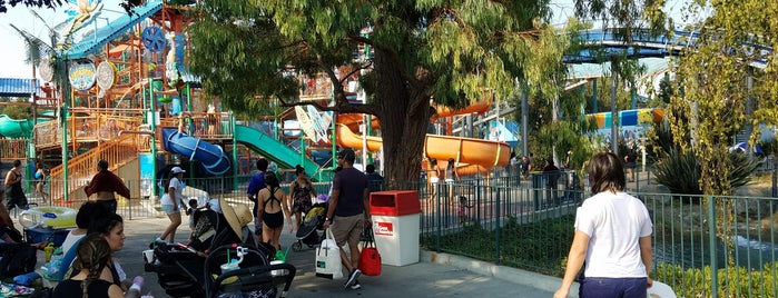Boomerang Bay is one of SF with kids.
