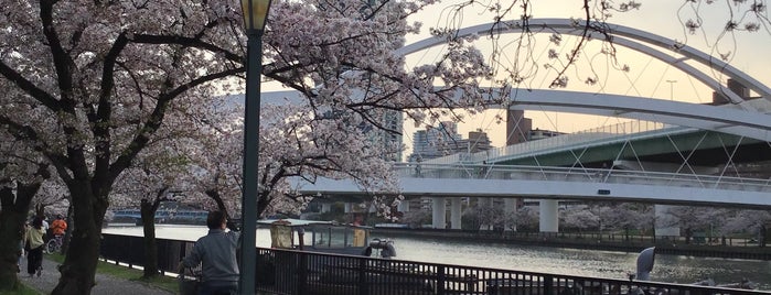 飛翔橋 is one of うまれ浪花の 八百八橋.