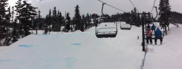 Nintendo Highest Level Terrain Park (Dark Park) is one of The path to snowboarding zen.