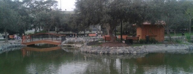Parque El Olivar de San Borja is one of The Next Big Thing.