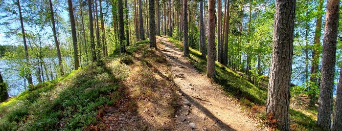 Leivonmäki Nationalpark is one of Orte, die mikko gefallen.