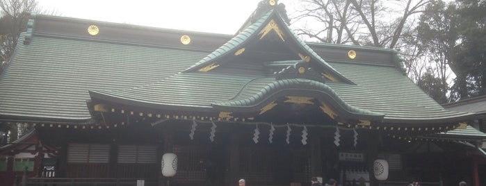 Okunitama Shrine is one of 御朱印.