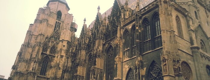 Catedral de San Esteban is one of Vienna Sightseeing.