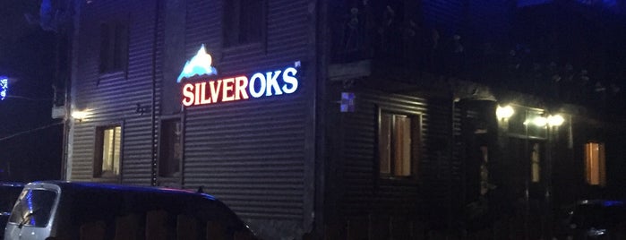 Silveroks is one of สถานที่ที่ DJ Claude G Miami-Kiev-Geneva ถูกใจ.