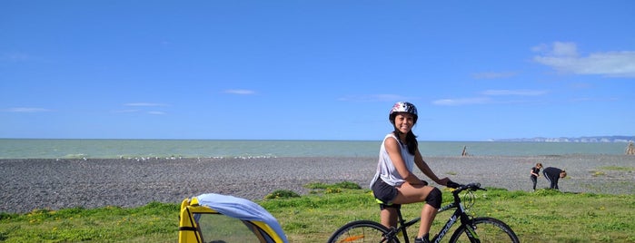 Fishbike is one of New Zealand.
