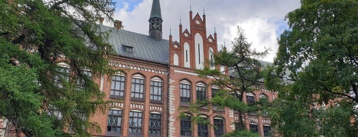 Art Academy of Latvia is one of Riga.