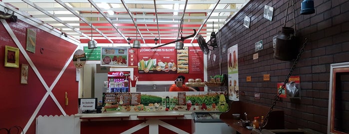 Farm Ville Elotes Gourmet is one of Gdl.