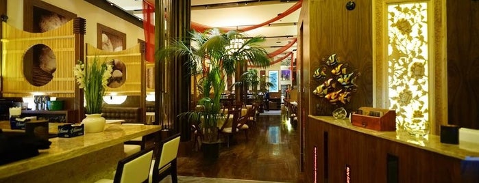 MoCA Asian Bistro is one of Rachelさんのお気に入りスポット.