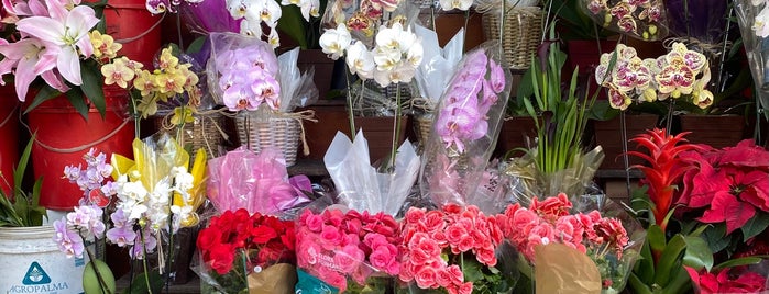Barracas das Flores is one of The 15 Best Flower Stores in São Paulo.
