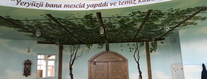 Hamidiye Camii is one of Aydın'ın Kaydettiği Mekanlar.