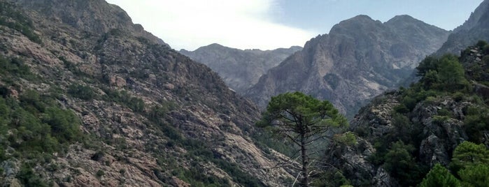 Forêt de Bonifatu is one of Edgar'ın Beğendiği Mekanlar.