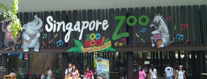 Singapore Zoo is one of Singapore.