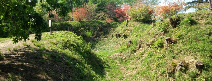 Sugiyama Castle Ruins is one of お城.