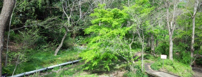 城山公園 is one of お城.