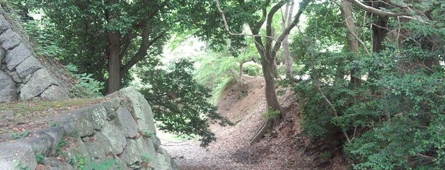 Yoshida Castle is one of お城.