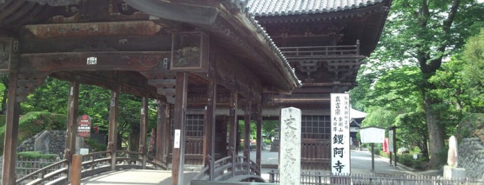 Bannaji Temple is one of お城.