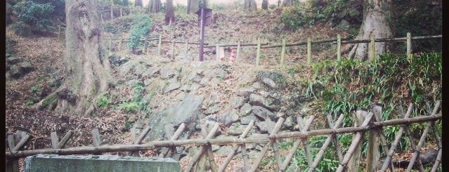 Ishigakiyama Castle Ruins is one of お城.