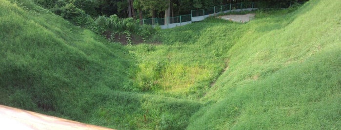 Kawamura Castle Ruins is one of お城.