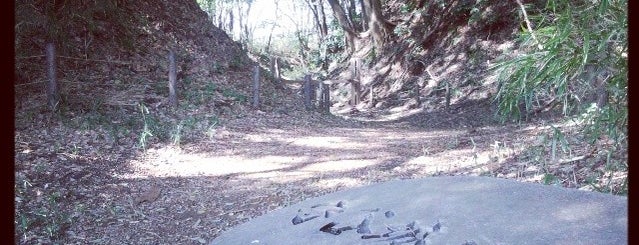 守谷城址公園 is one of お城.