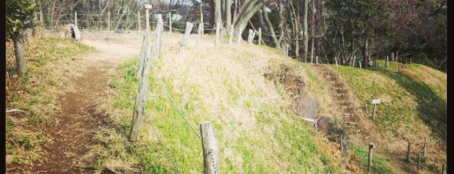 Kokokuji Castle Ruins is one of お城.