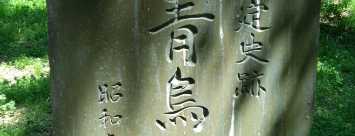 青鳥城址 is one of お城.