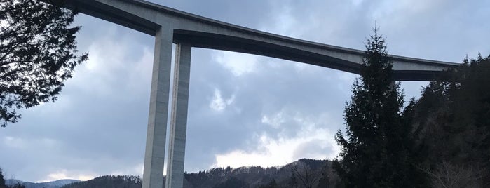 鷲見橋 is one of 日本の日本一･世界一あれこれ.