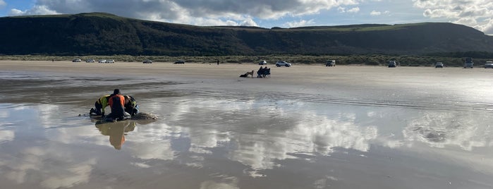 Benone Beach is one of Ireland.