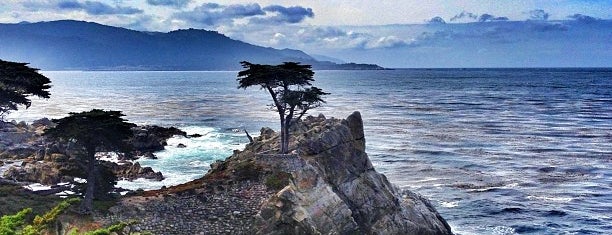 The Lone Cypress is one of Central CA Coast.