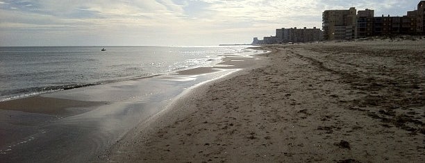 Platja de El Recatí / El Perellonet is one of Orte, die Bea gefallen.