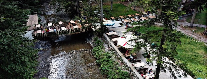 Abant Park Alabalık Et Restaurant is one of Sapanca.
