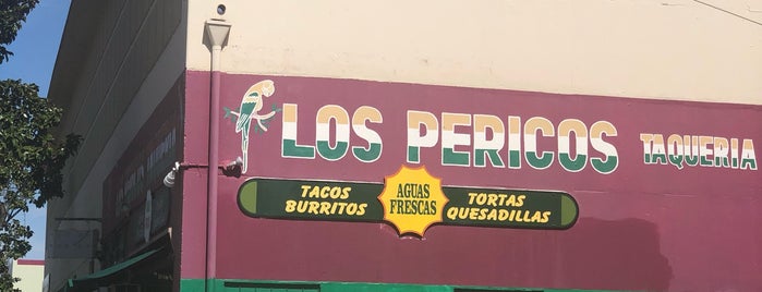 Los Pericos Taqueria is one of Food and (&) Drink.