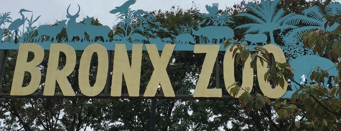 Bronx Zoo is one of NYC ID.