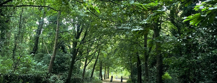 Holland Park is one of Locais curtidos por Esra.