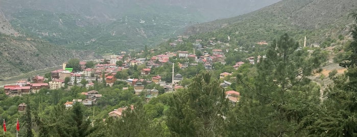 Seyit Ali Parki Cay Bahcesi is one of Esra'nın Beğendiği Mekanlar.