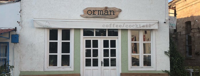 Orman Coffee & Cocktail is one of Lugares favoritos de Esra.